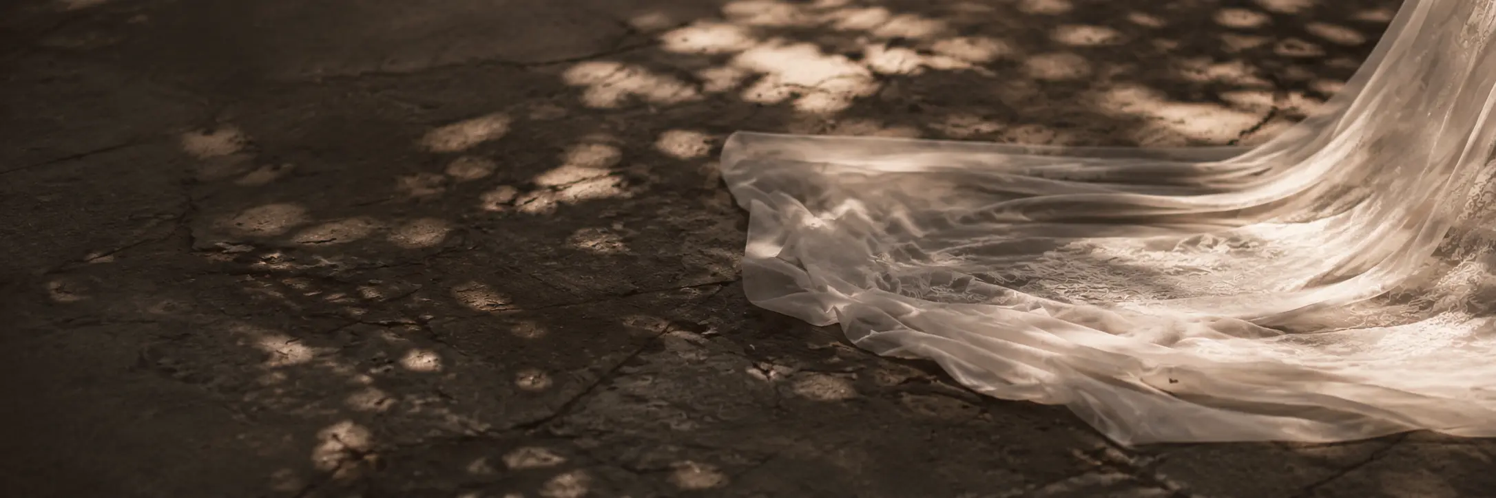 Bride and groom embracing beneath a flowing veil, the moment that begins every couple's story